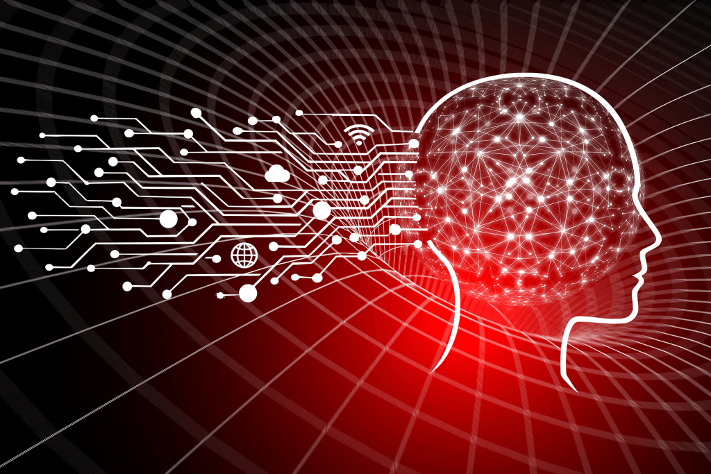 procesamiento cerebral